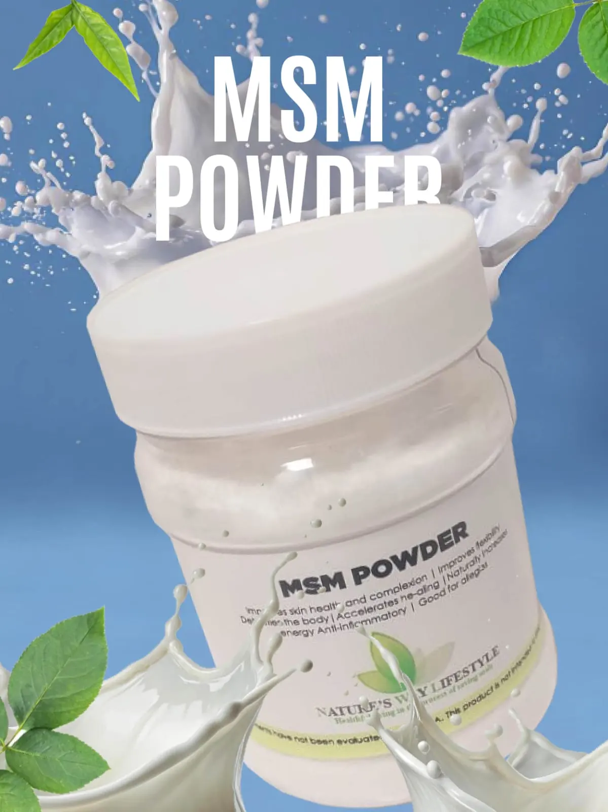 MSM Powder